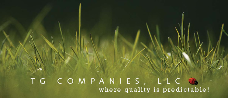 TG Companies, LLC where quality is predictable!